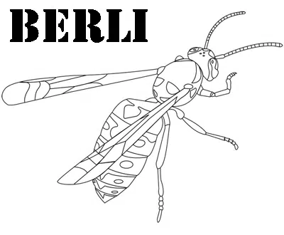 avispabaja.jpg