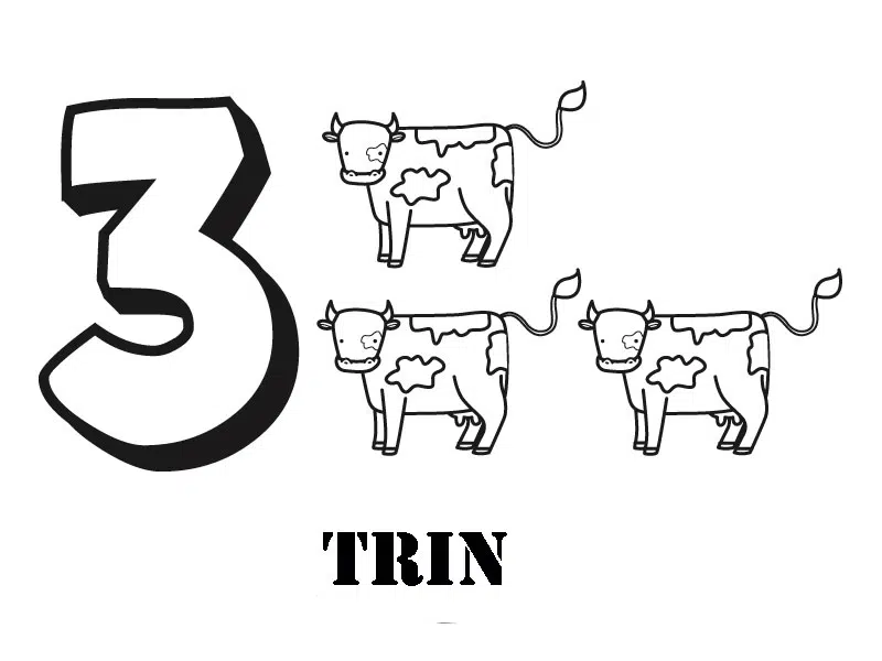 tres-baja.jpg