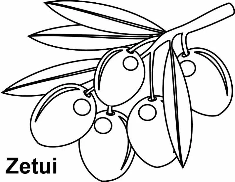 aceituna-baja.jpg