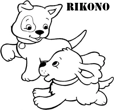 cachorro-baja-2.jpg