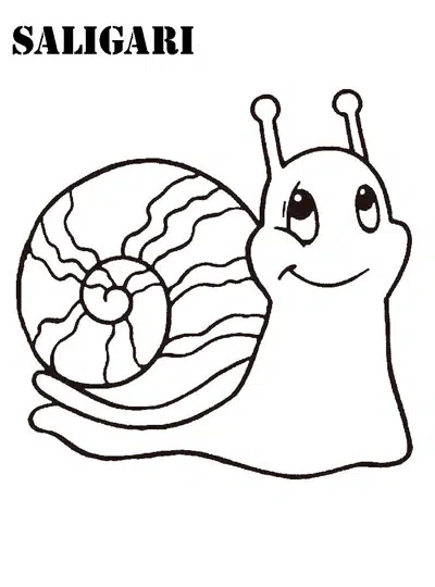 caracol-baja.jpg