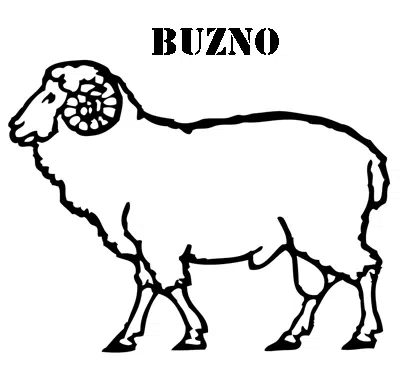 carnerobaja.jpg