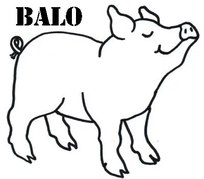 cerdo.jpg