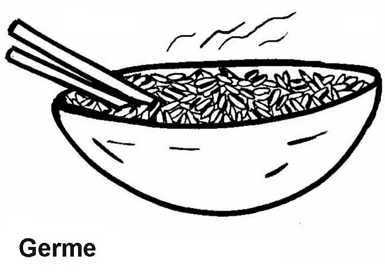 cereales-baja.jpg