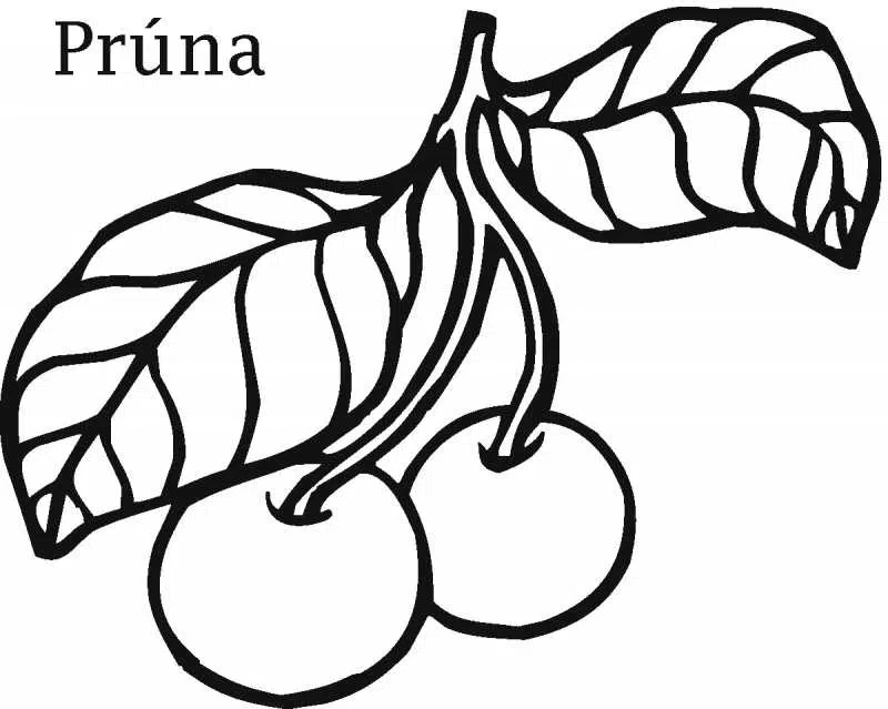 ciruela-baja.jpg
