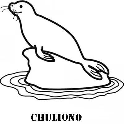 foca-baja.jpg