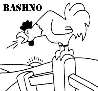 gallo-baja.jpg