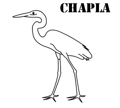 garza-baja.jpg