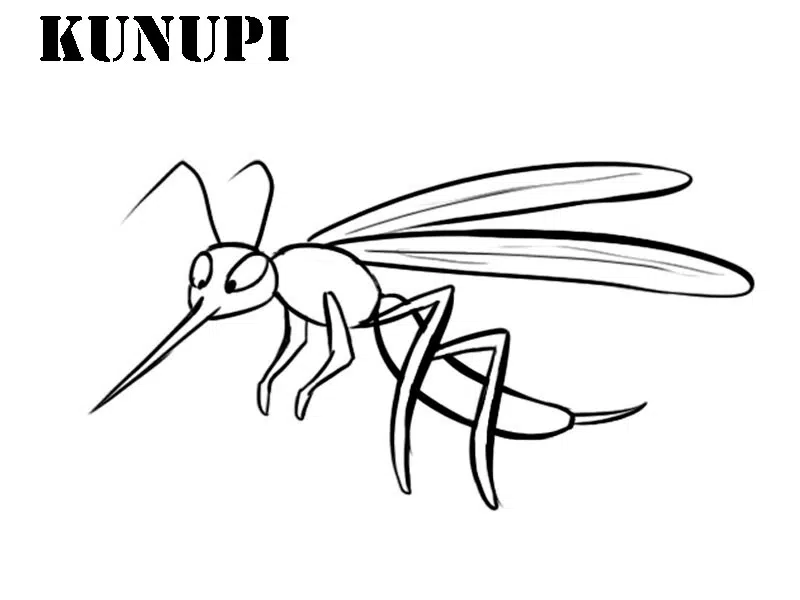 mosquito-baja.jpg