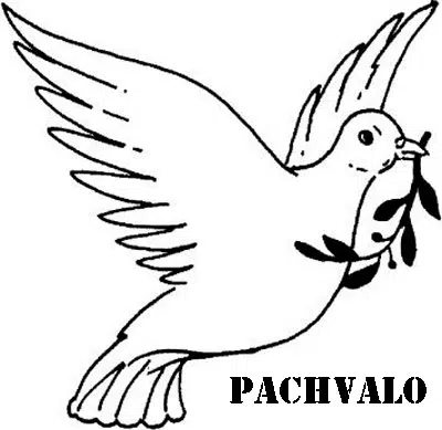 paloma-baja.jpg