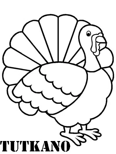 pavo-baja.jpg