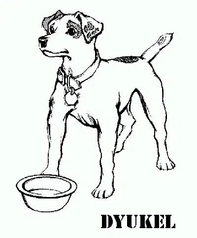 perro-baja.jpg