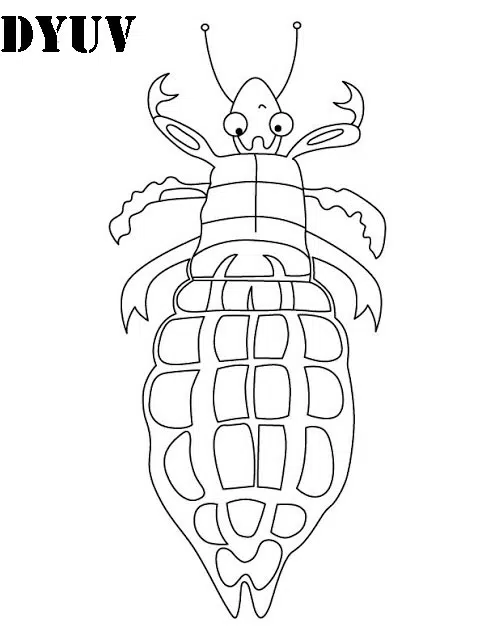 piojo-baja.jpg