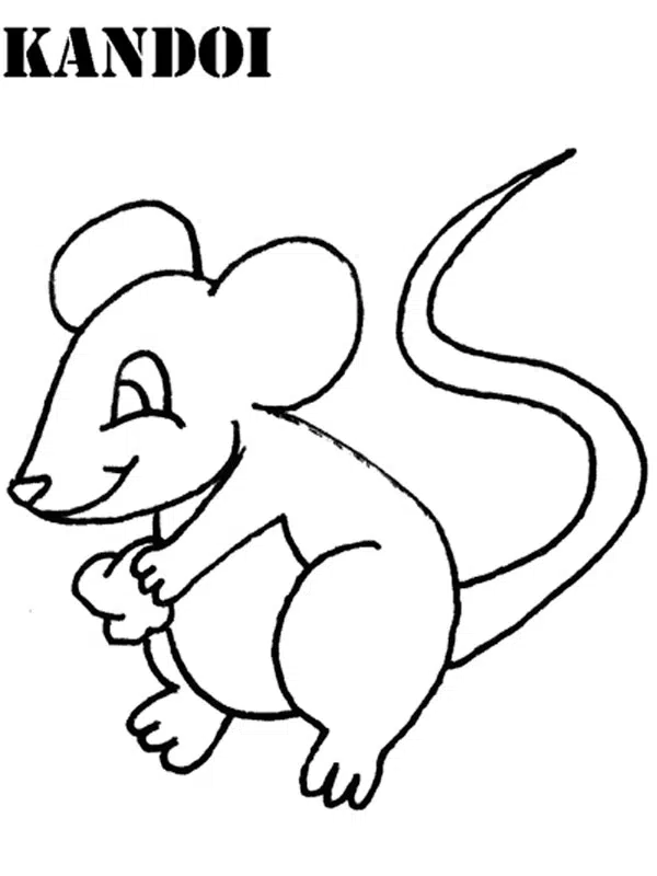 raton-baja.jpg