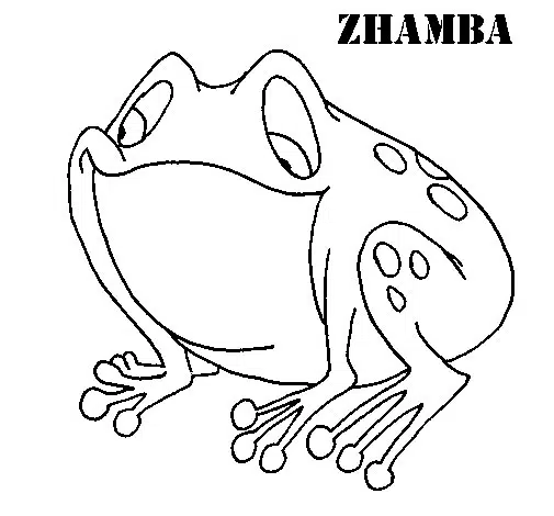 sapo-baja-3.jpg