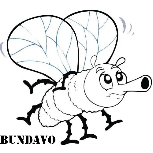 tabano-baja.jpg