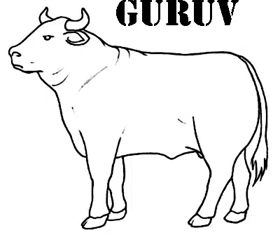 toro.jpg