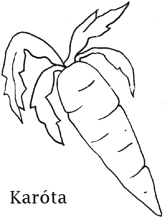 zanaoria-baja.jpg