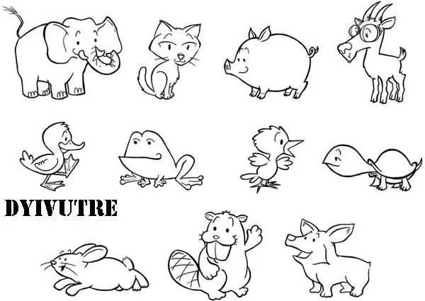 animales-baja.jpg