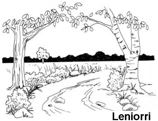 arroyo-baja.jpg