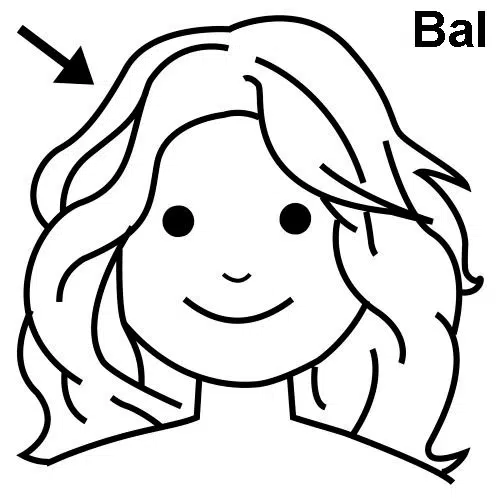 cabello-baja.jpg