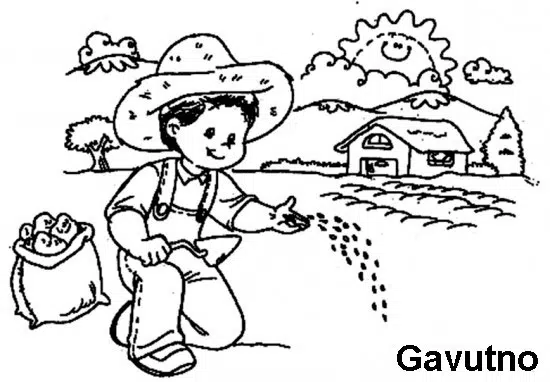 campesino-baja.jpg