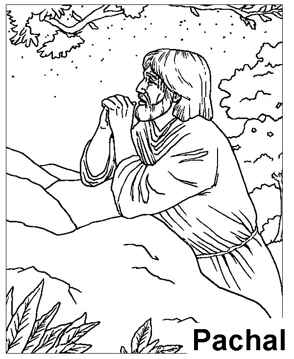 creer-baja.jpg