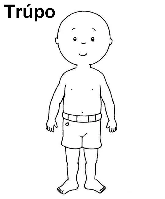 cuerpo-baja.jpg