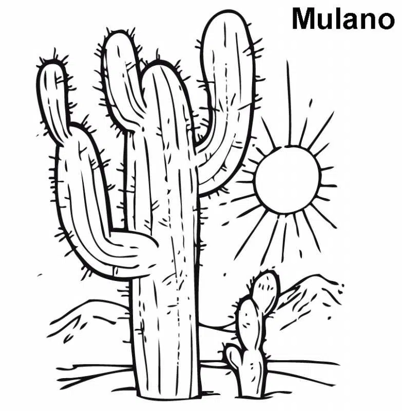 desierto-baja.jpg