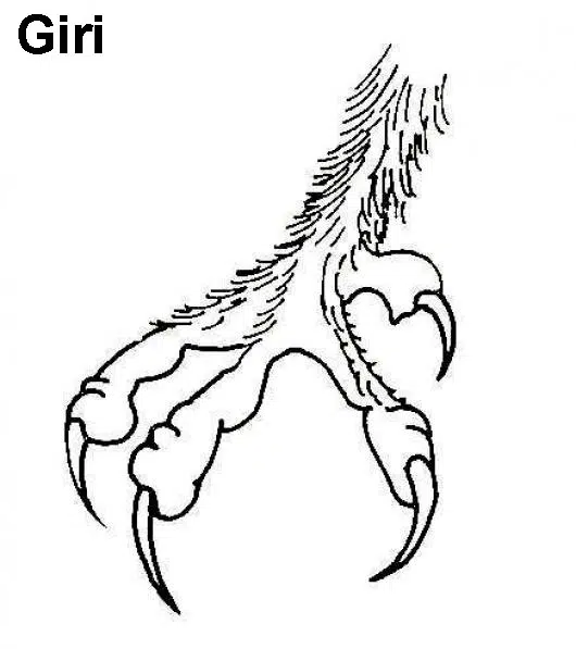 garra-baja.jpg