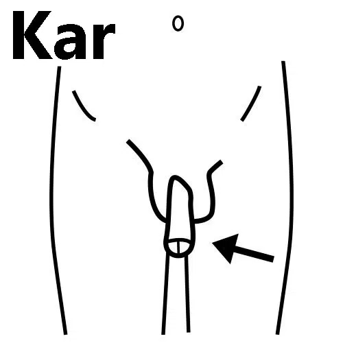 Pene-baja.jpg