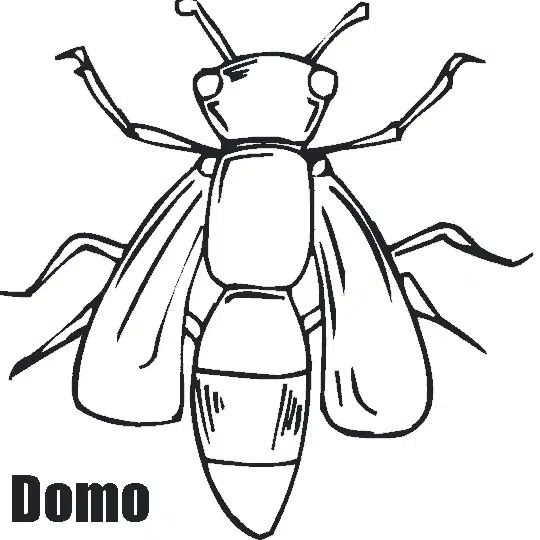 insecto-baja.jpg