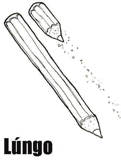 largo-baja.jpg