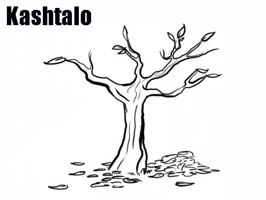 leoso-baja.jpg