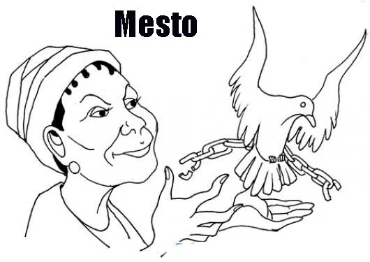 libre-baja.jpg