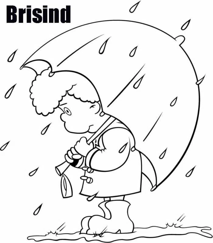 lluvia-baja.jpg