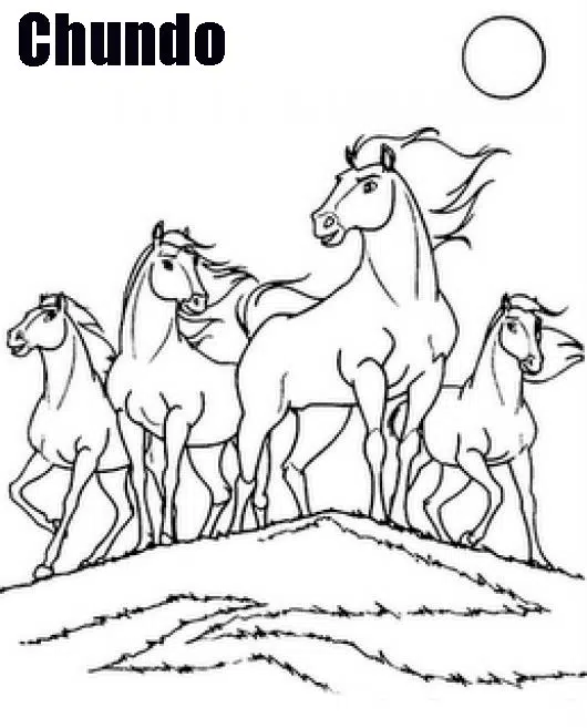 manada-baja-2.jpg