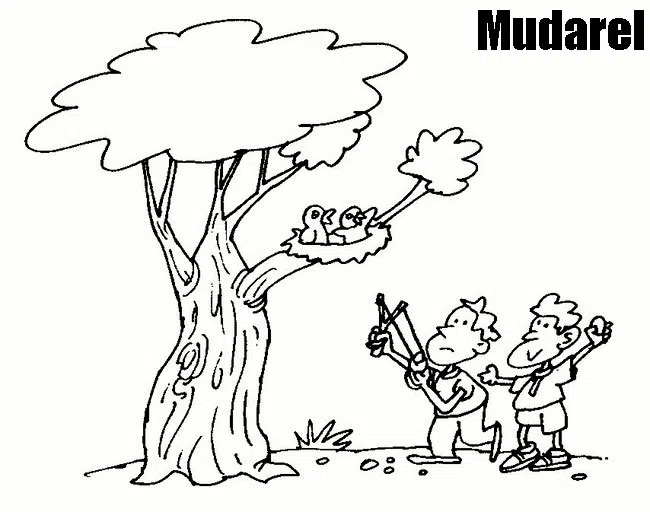 matar-baja.jpg
