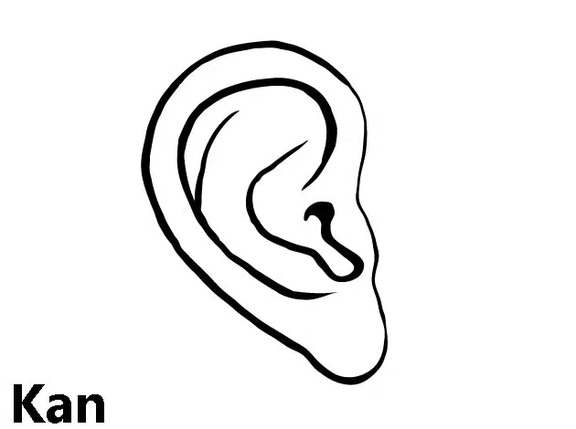 oreja-baja.jpg