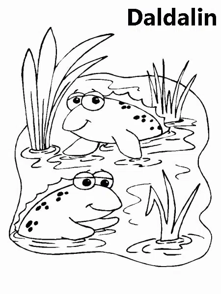 pantano-baja.jpg