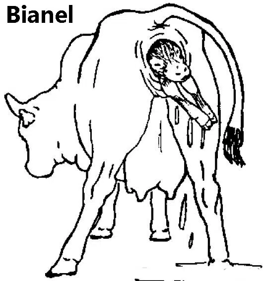 parir-baja.jpg