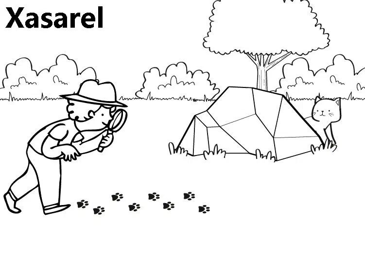 perder-baja.jpg
