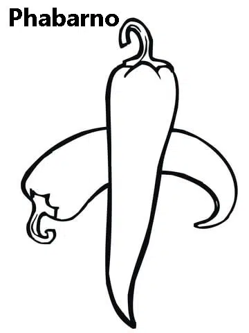 picante-baja.jpg
