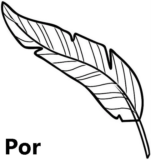 pluma-baja.jpg