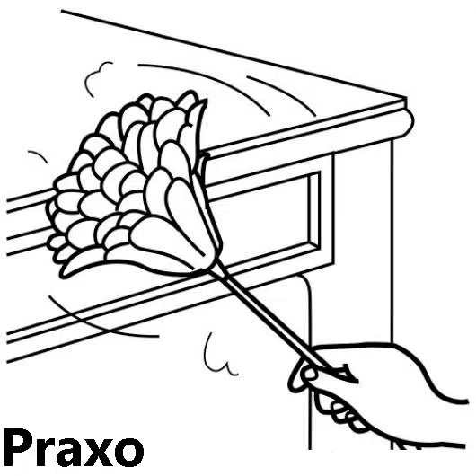 polvo-baja.jpg