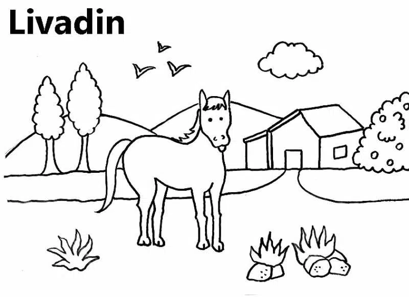 pradera-baja.jpg