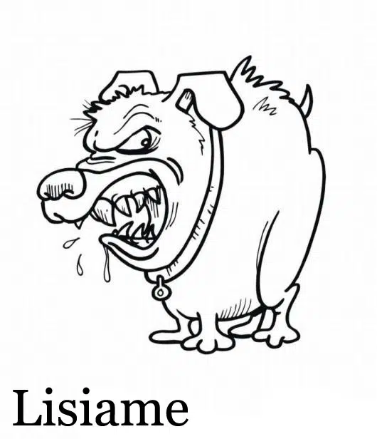 rabioso-baja.jpg