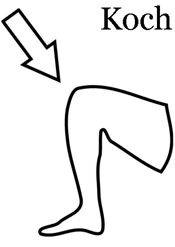 rodilla-baja.jpg