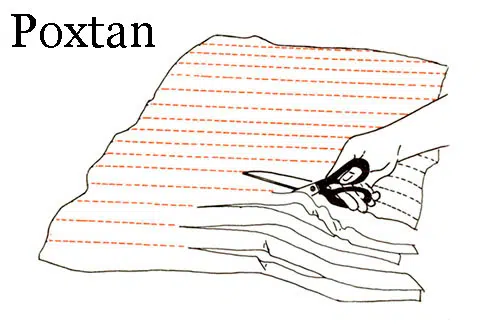 tela-baja.jpg