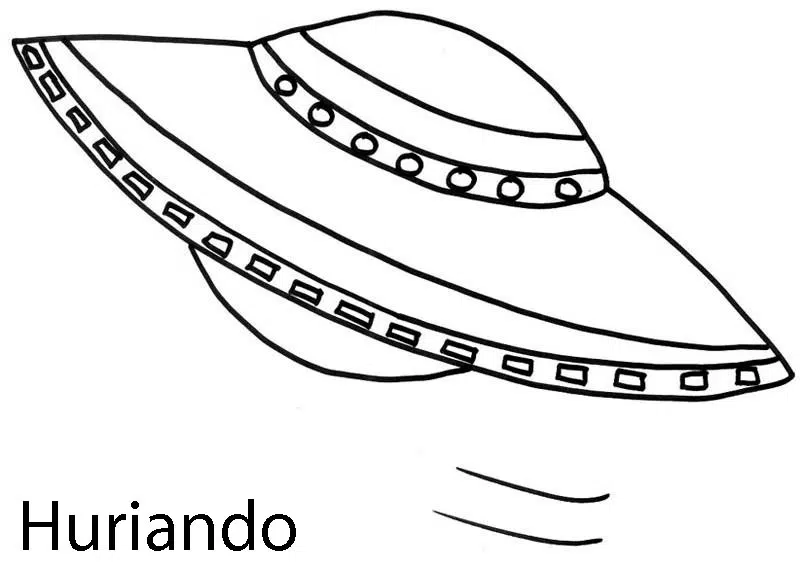 volador-baja.jpg